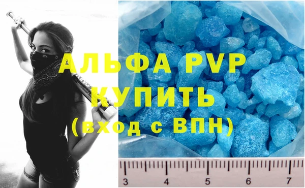 прущие грибы Гусь-Хрустальный