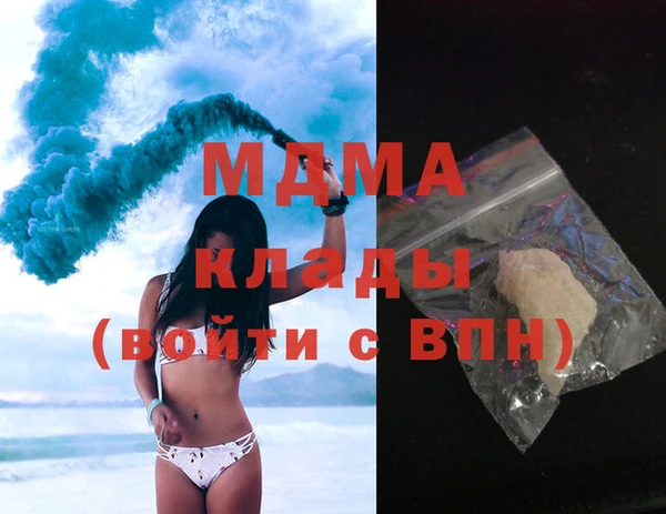амф Гусев